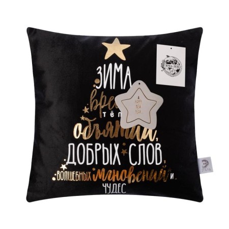 Case on the pillow of Ethel "Hiring Time" 40x40 cm, 100% p/e, velor-3