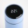 Thermos, 500 ml, Basic "Master K.", with a strainer, with a temperature sensor, retains heat of 8 hours