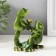 Souvenir Polystone "Frog with a bouquet" 5x12x12 cm
