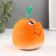 Growing gift Eco -Zezhivchik "Orange"