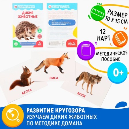 Training cards according to the method of Glen Doman "Wild Animals", 12 cards, A6, 0+