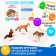 Training cards according to the method of Glen Doman "Wild Animals", 12 cards, A6, 0+