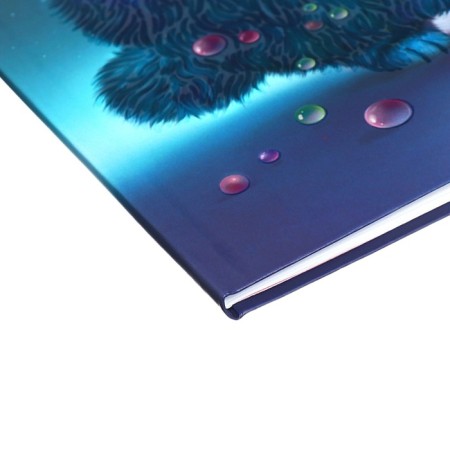 Diary Artificial leather grade 1-11, 48 sheets, cage, integral cover "cat", covered cardboard, matte lamination, selective UV-lame, universal cheat sheet, block 65 g/m2-2