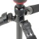 Tripod Falcon Eyes Hangman 165 BH1