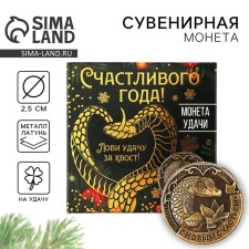 Coin New Year's amulet 