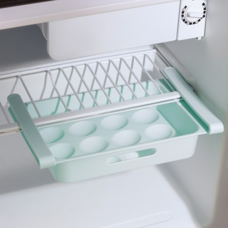Shelf for eggs in the refrigerator, suspended, 12 cells, 26 × 17 × 5 cm, color mix-1