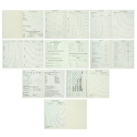 Universal diary for grade 1-11 Croco Feel Inspired, solid cover, artificial leather, foil embossing, liesse, 48 sheets-5