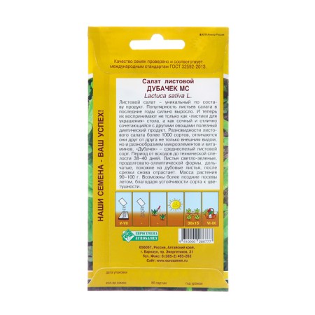 Salad seeds "Dubachek MS", 1GR-1