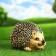 Garden figure "Round Hedgehog" 18x18x27cm