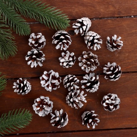 New Year's set of cones "White Tale" 75 g-3