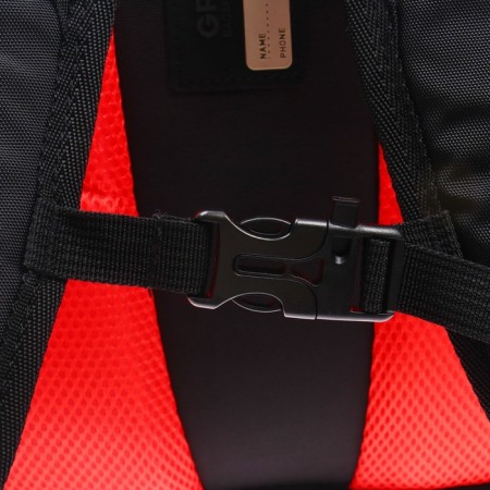 Youth backpack Grizzly, 43 x 31 x 20 cm, ergonomic back, laptop department-12