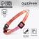 A collar for dogs and cats with Fasteks "Wild and Fluffy", 30x1 cm