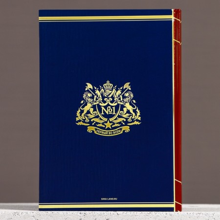 Gift set of cosmetics "Wealth and prosperity", shower gel 250 ml and diary, Hard Line-6
