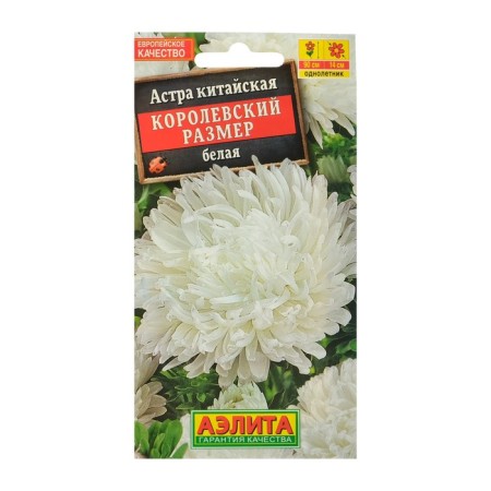 Seeds of Flowers Astra "Royal Size" white, o, 0.1 g