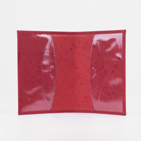 Cover for passport, red color-2