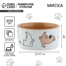 Ceramic bowl “Fitness of the dogs”, 200 ml, for dogs