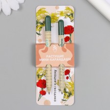 Growing gift pencils mini 