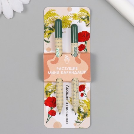 Growing gift pencils mini "Acacia and clove" set 2 pcs