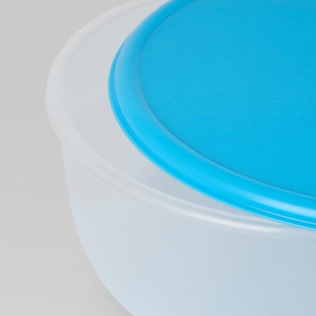Set of containers Reda, 5 pcs, round, blue / blue color-3
