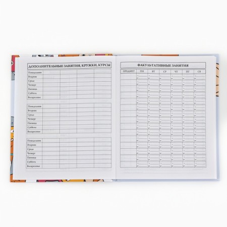 School Diary 1-4 class, in a solid cover, 48 liters "September 1: cats"-5