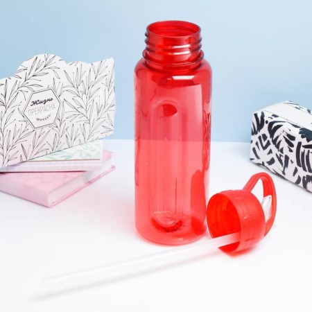 Water bottle, 650 ml, Baraolet, with a drinker, 24 x 7 cm, mix-3