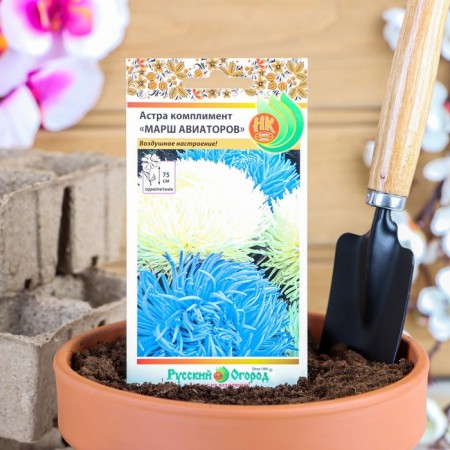 Flowers of Astra Complement "Marsh of Aviators" mixture, series Russian garden, o, 0.2 g-4