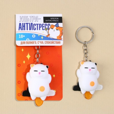 Keychain of the keys "cat" 5 x 3.8 cm-1
