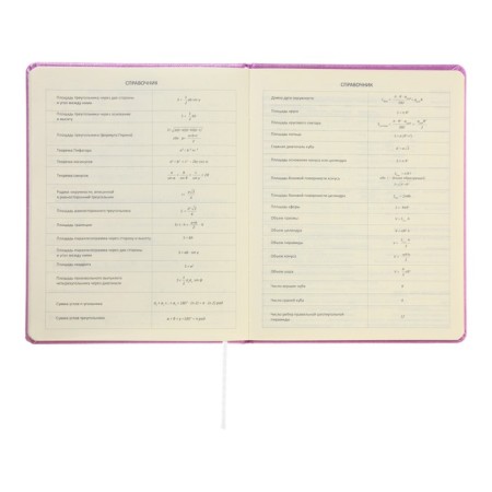 Universal Diary for Butterfly 1-11 grade, solid cover, artificial leather, foamy, foil embroidery, liesse, 80 g/m2-9