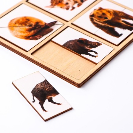 Pictures-pools "Forest animals"-4