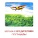 Demonstration pictures. Bread is the head of everything. 16 demonstration pictures with text. 174x220 mm
