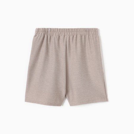 Men's shorts Minaku: Basic Line Man Color Gray, size 52-3