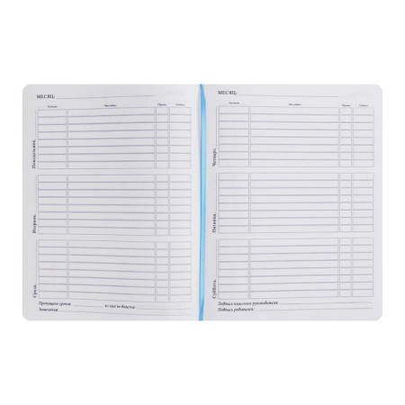 School diary, 5-11 grade, PVC cover, football player, brown-2