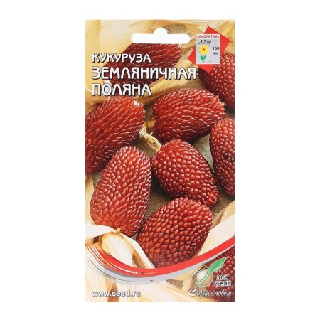 Corn seeds "Strawberry Polyana", decorative, 14 pcs
