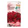Flowers of Petunia "Vave Karmin Velur", F1, 5 pcs