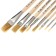 Set of brushes of bristles 8pcs Calligrata (Round No. 3.6 flat No.: 4.6,10,14,18,24), package