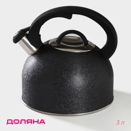 A kettle with a stainless steel whistle Snow, 3 l, induction, black color