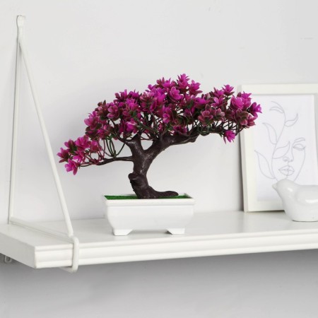 Bonsai in the pot “Molch multicolor” 12x16 cm, mix