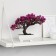 Bonsai in the pot “Molch multicolor” 12x16 cm, mix