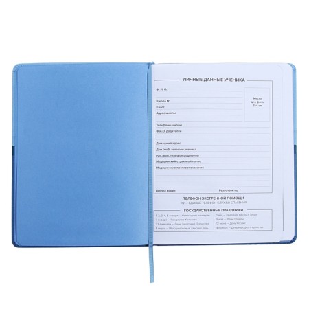 Universal Diary Grade 1-11, 48 sheets "Blue", a solid cover made of artificial leather, pancake embossing, Lasasse-5