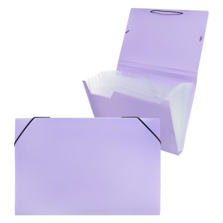 Folder Carder Calligrata watercolor 13 department. A4 plastic 0.7mm lavender, black resident