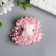 Stamens for flowers "droplets gloss light pink" set 300 pcs length 6 cm