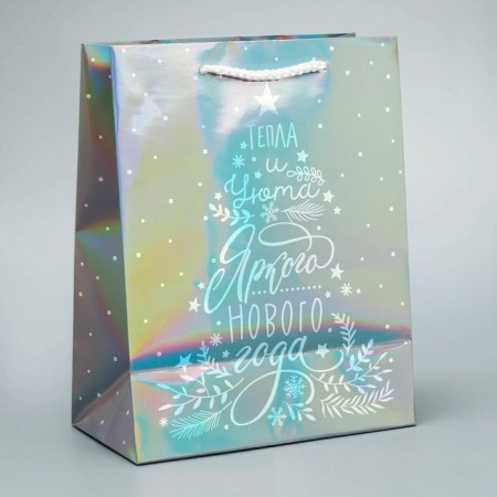 Holographic "heat" package, MS 18 x 23 x 10 cm, New Year-4