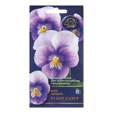 Viola flowers 