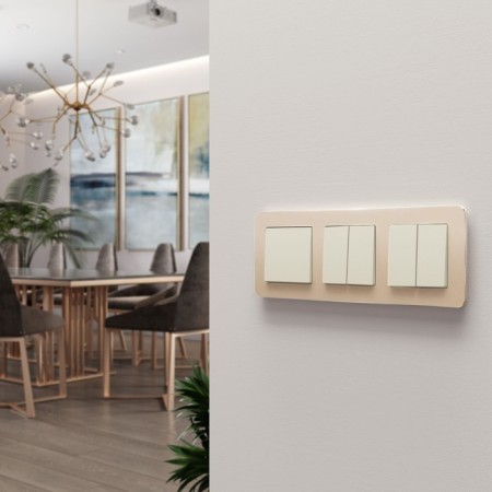 Frame W0032611, 3 Platinum sockets, champagne-4