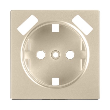 WSB lining WL11-USB-CP socket, champagne color