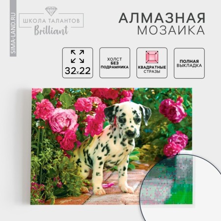 Diamond mosaic with full filling on the canvas "Dalmatian", 22 x 32 cm