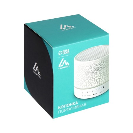 Luazon Lab-04 portable column, backlight, Bluetooth, USB, Microsd, MicroUSB, mix-12
