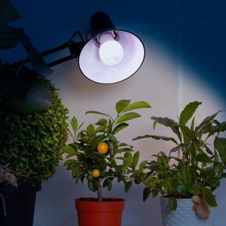 Phytolamps for plants LED era Fito-11W-RA90 27 Full Spectrum New 11 W E27-5
