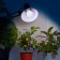 Phytolamps for plants LED era Fito-11W-RA90 27 Full Spectrum New 11 W E27