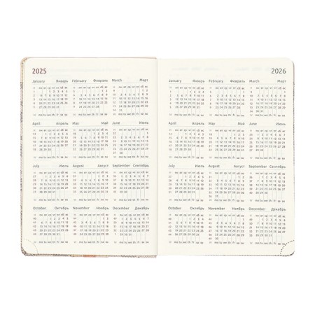 Dated 2025 DATA A5 168 sheets, DEVENTE. Expert, integral cover to leatherette, pocket, perforation, liesse, cream block 70 g/m2, gray-7